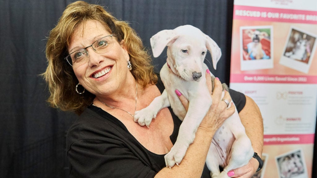 pet adoption fair south florida