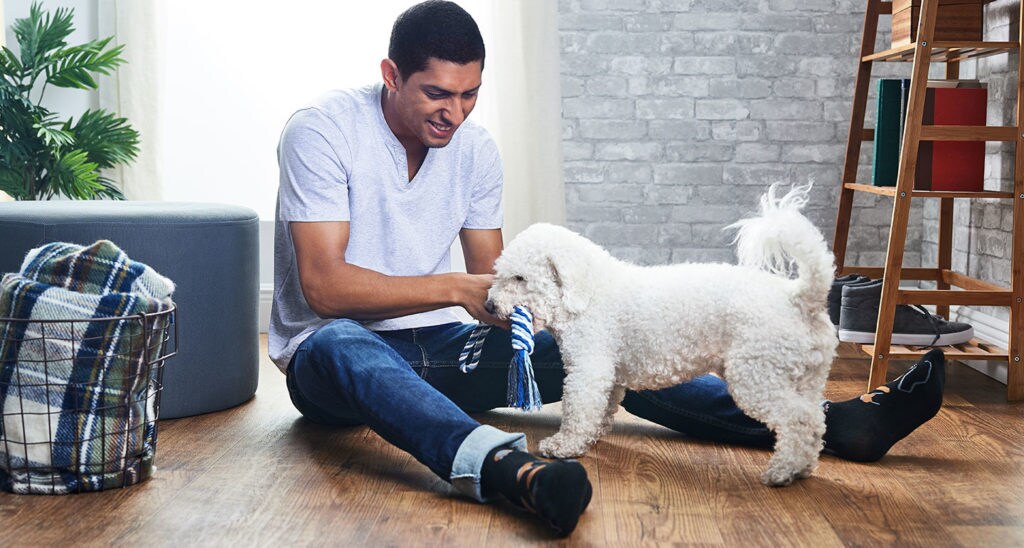 10 Great Dog Dad Gifts for Fathers Day