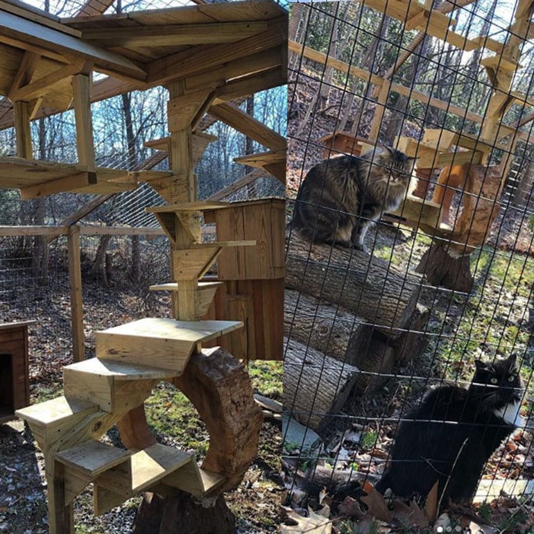 outdoor catio chewy