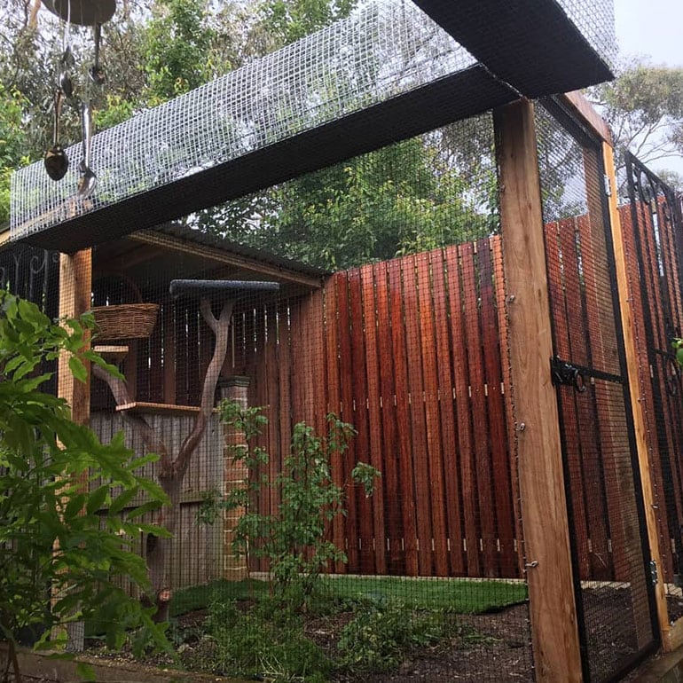 Fancy catio clearance