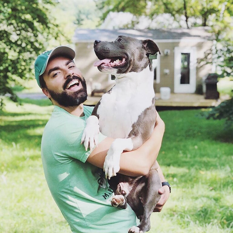 Pitbull Mixes Adam and Juno