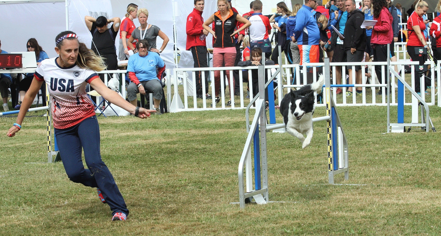 Dog agility Fame(US)