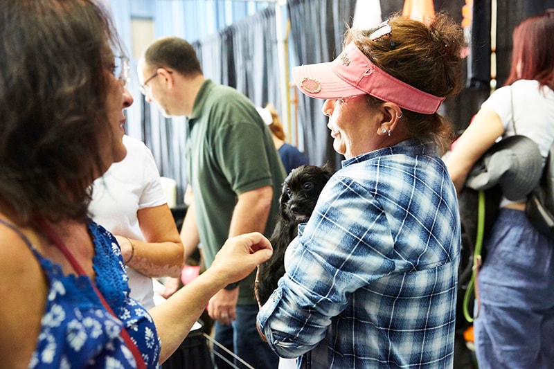 south florida adoption fair