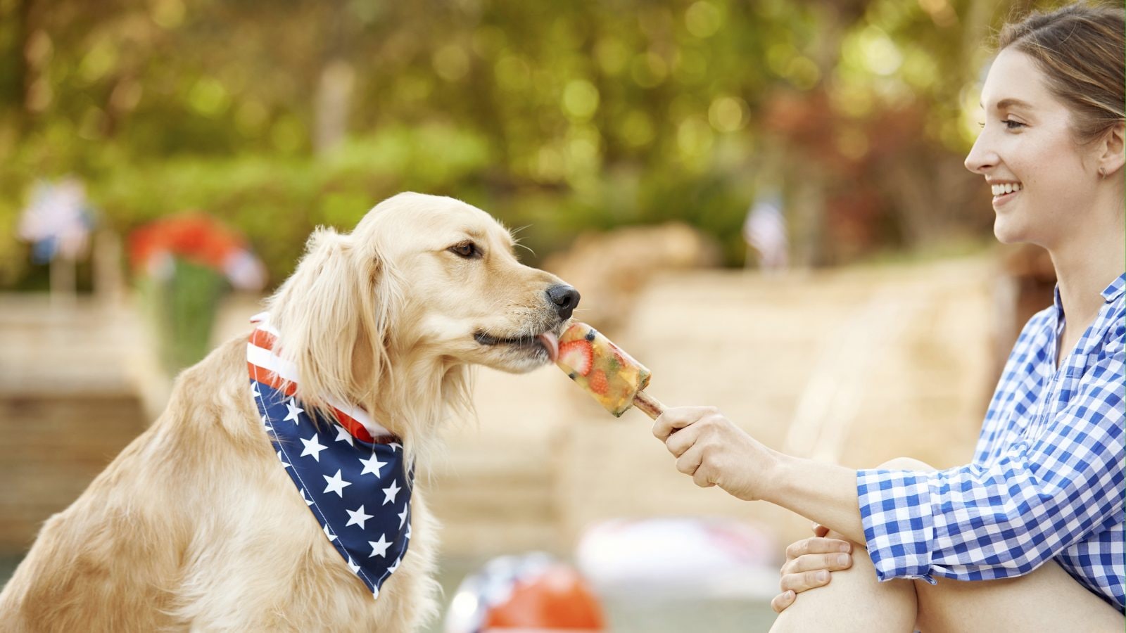 Dog (and people) friendly pupsicles