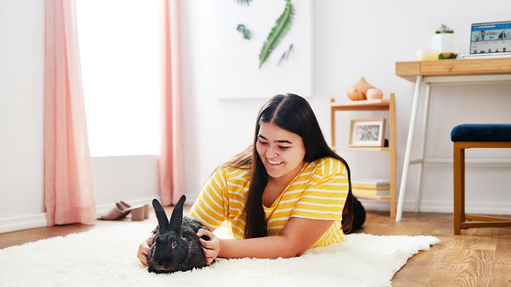 Millennials and Pet Rabbits: A Perfect Match?