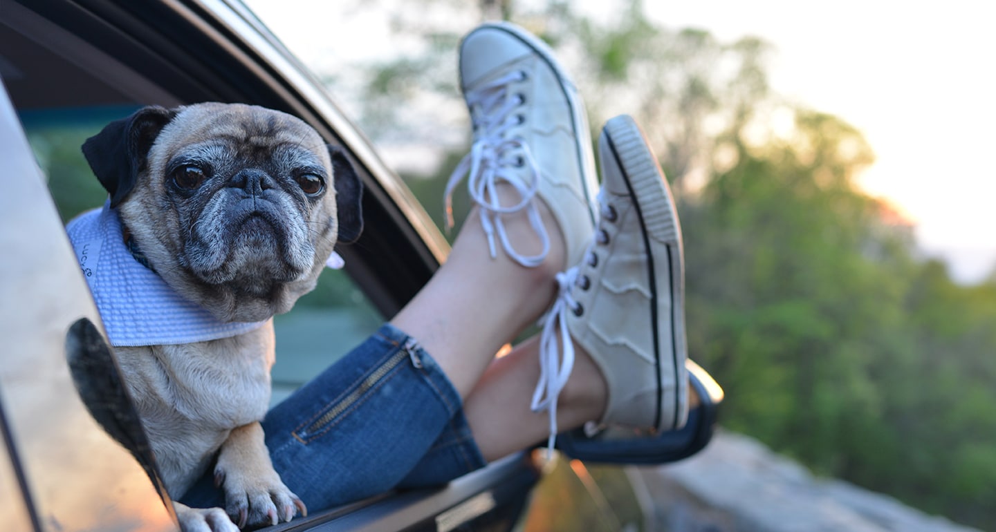 getaway trip