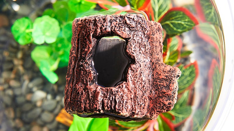 floating betta log