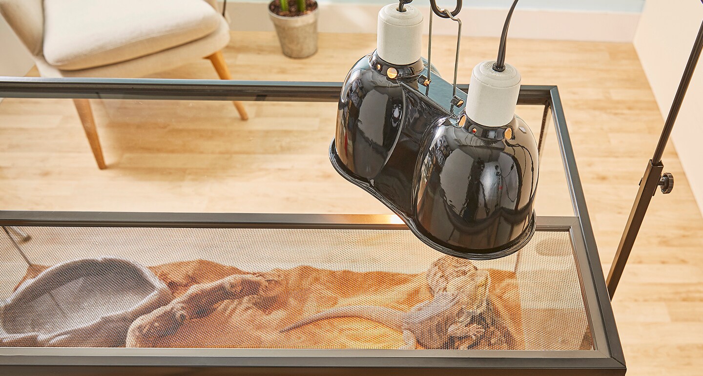 Full width image