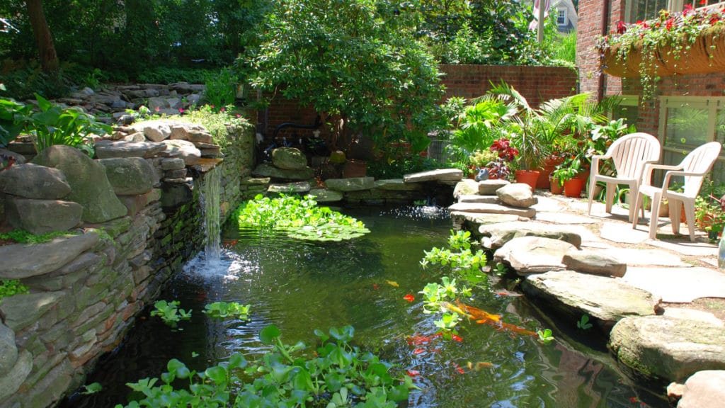Building A Pond Without Liner, How To Build A Big Garden Pond
