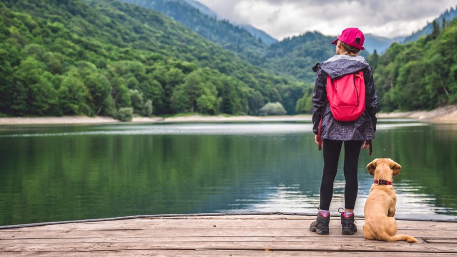 PetFriendly Vacations for the Summer BeChewy