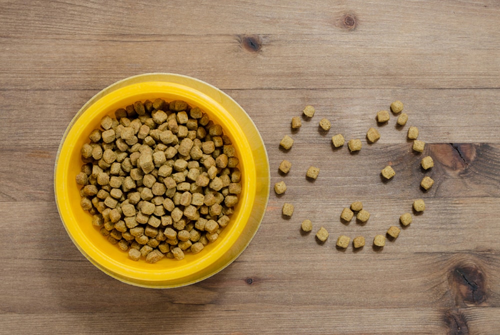 How Long Will Canned Dog Food Keep In The Refrigerator