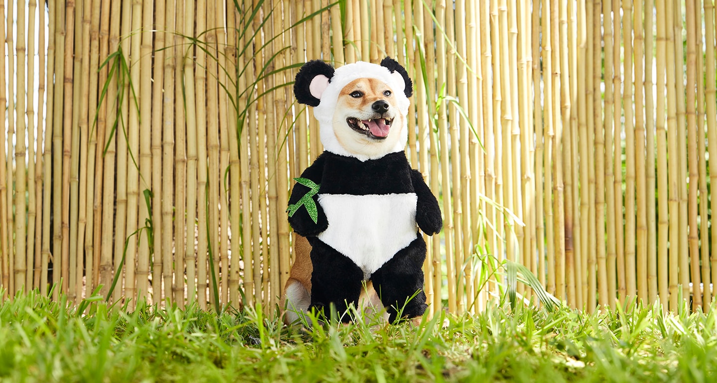 Animal Costumes for Dogs - panda dog costume