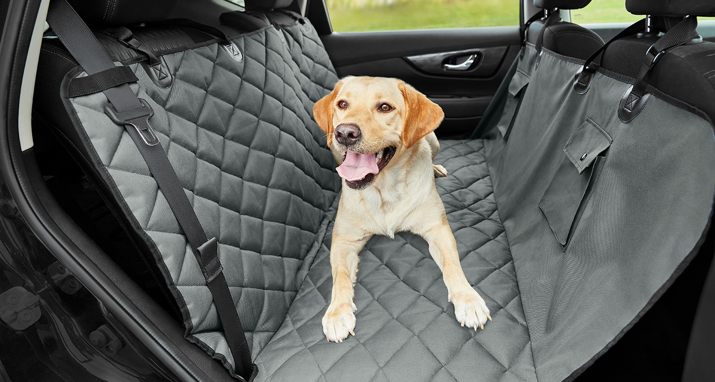 dog-on-car-seat-cover
