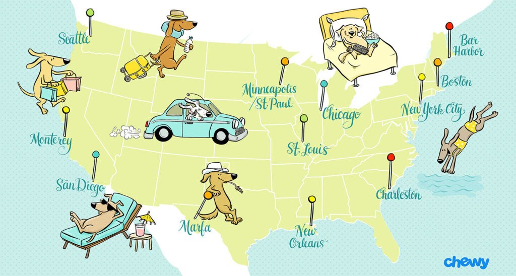 DogFriendly Vacations Across the United States BeChewy