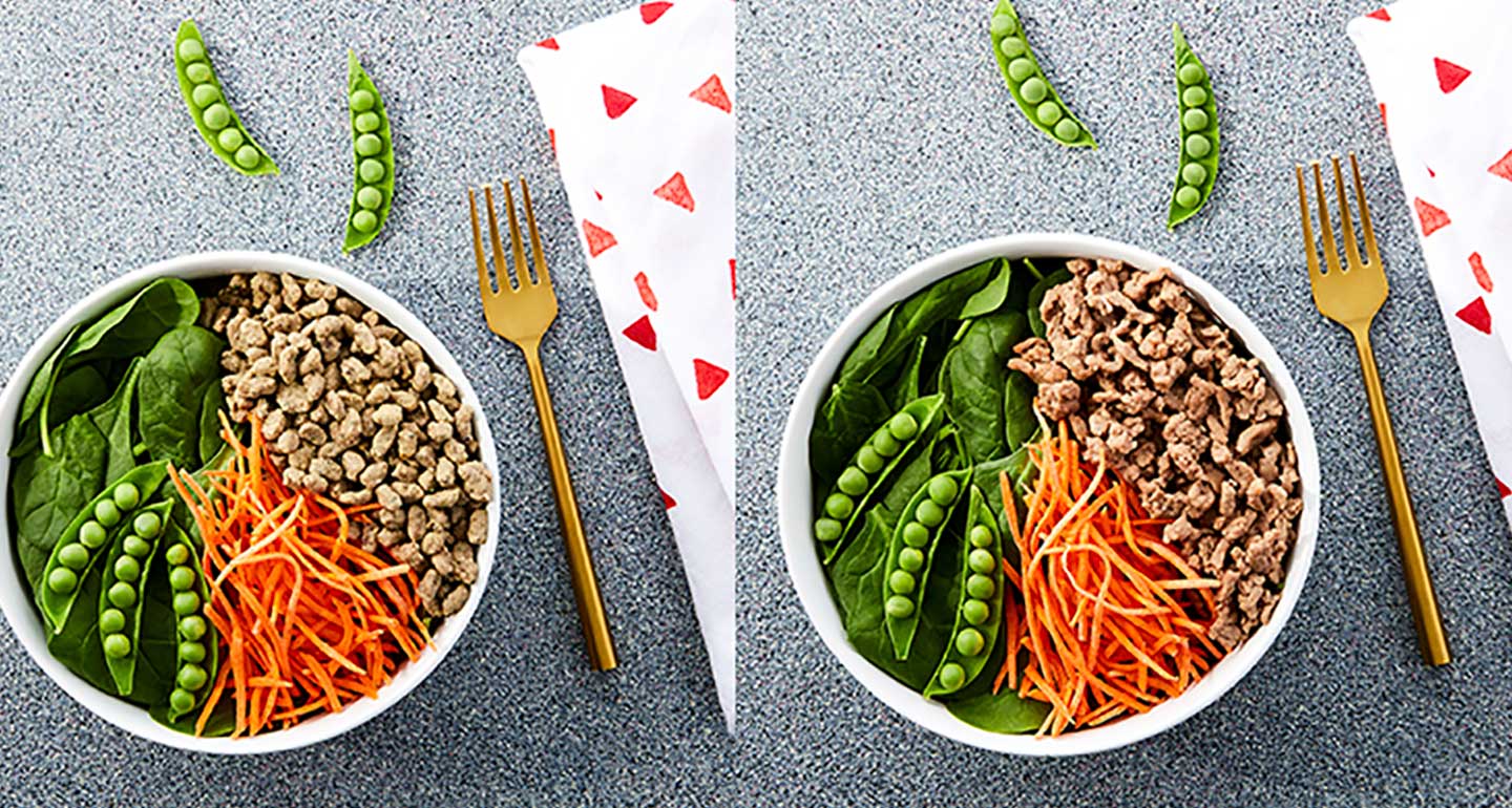 Healthy Protein Bowl