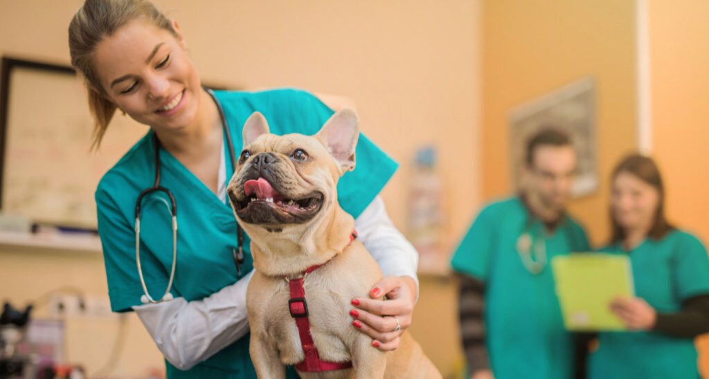 side effects of dog bite injection