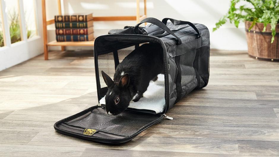 5 AirlineApproved Small Pet Carriers BeChewy