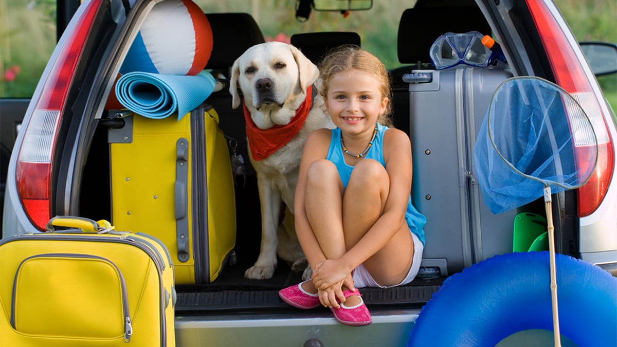 Pet Travel & Activities