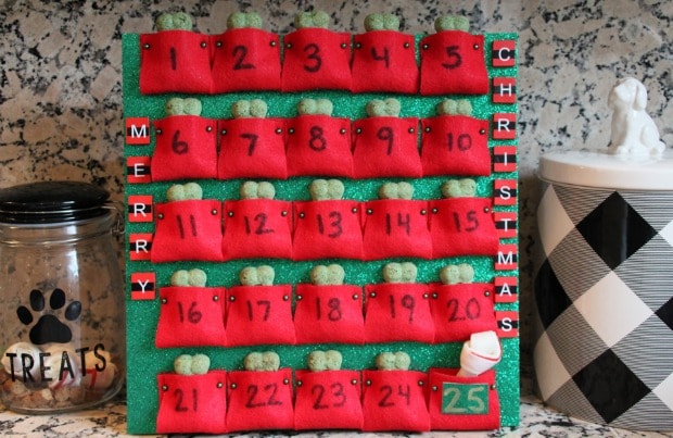 DIY Dog Advent Calendar BeChewy