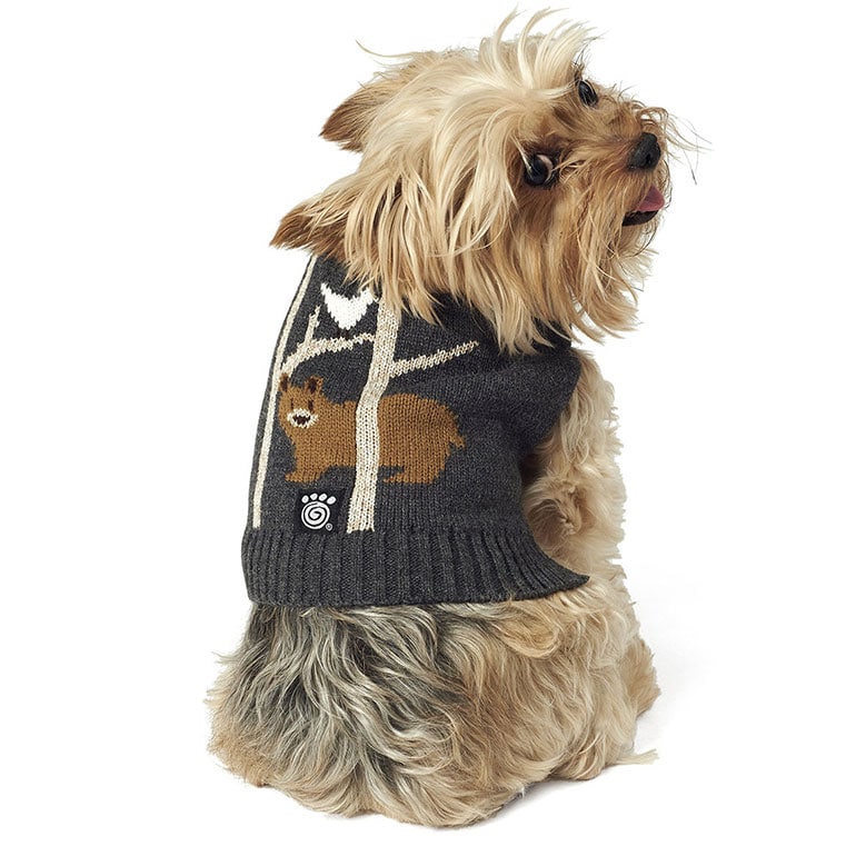 6 Items for Chicago's Bear-y Best Dog Fans to Wear