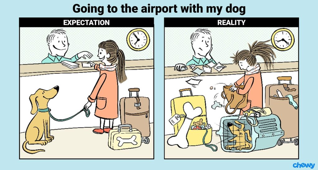 Traveling with Your Dog at the airport