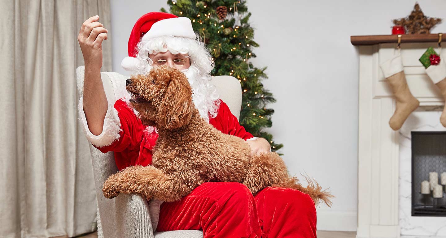 Tips for Getting the Best Pet Pictures With Santa BeChewy