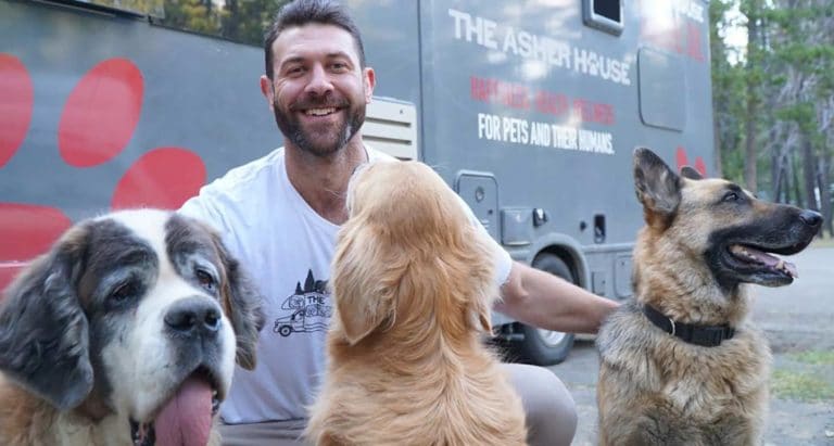 Lee Asher Travels The Us In His Rv With His 11 Dogs And Heres Why