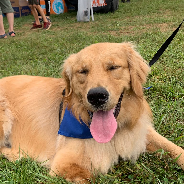 Brewski at Ruff Mudder