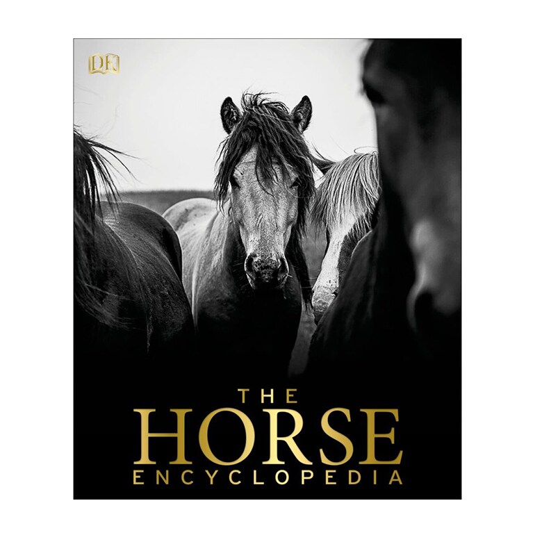 Gifts for Horse Lovers