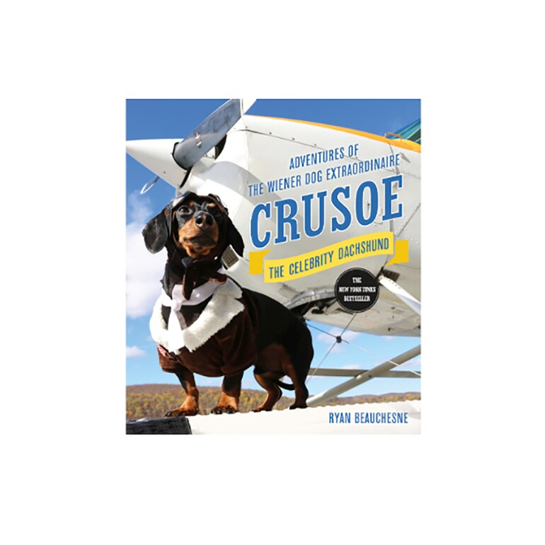 Dachshund Gifts