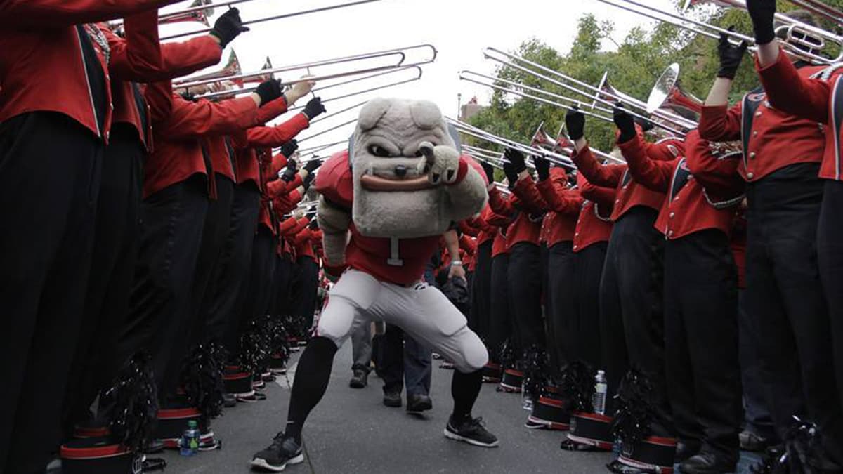 College Sports: The 12 Best Animal Mascots | BeChewy