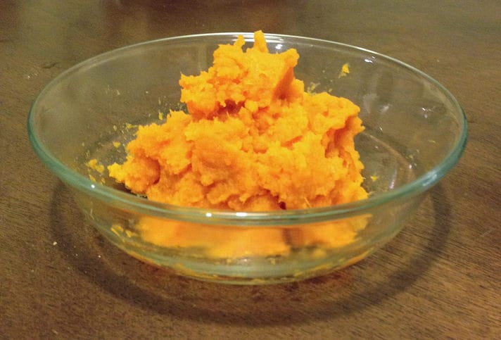 Mashed Sweet Potato Recipe for Dogs | BeChewy