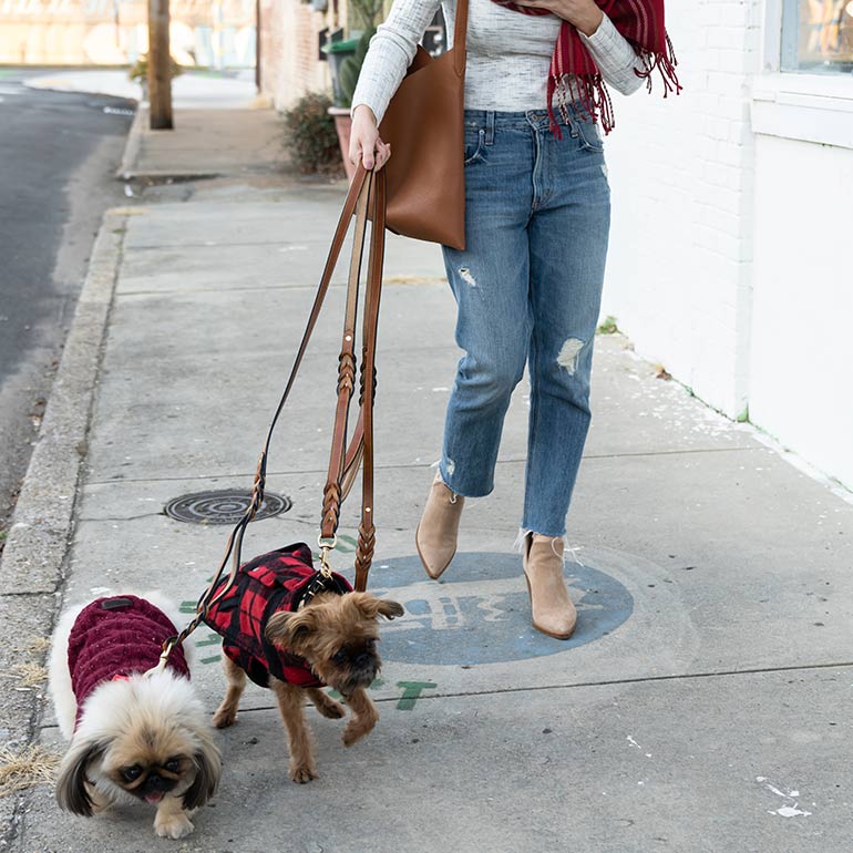 The Best Dog Winter Clothes, According to Famous Instagram Dogs BeChewy