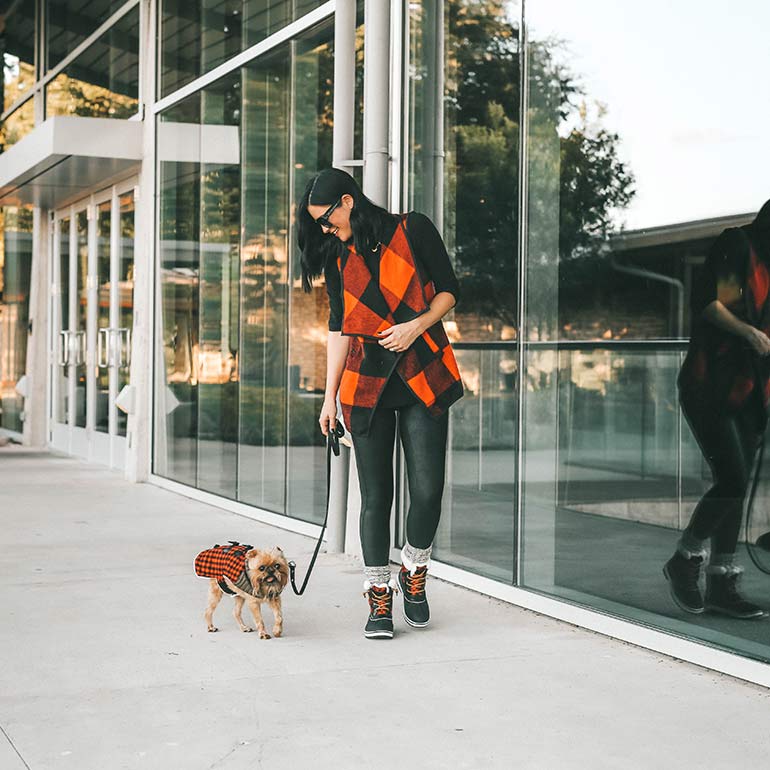 The Best Dog Winter Clothes, According to Famous Instagram Dogs BeChewy