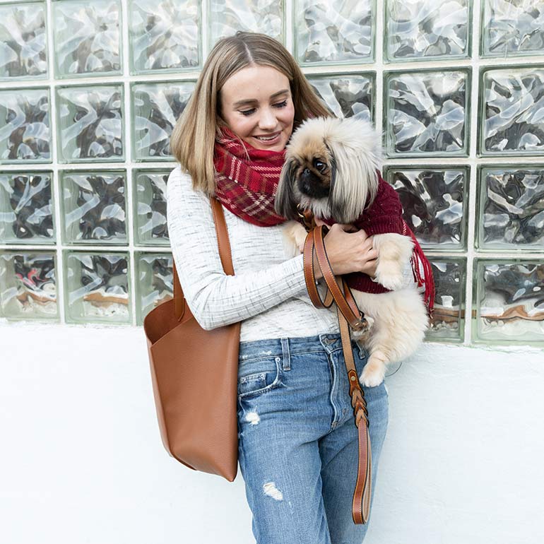 The Best Dog Winter Clothes, According to Famous Instagram Dogs BeChewy