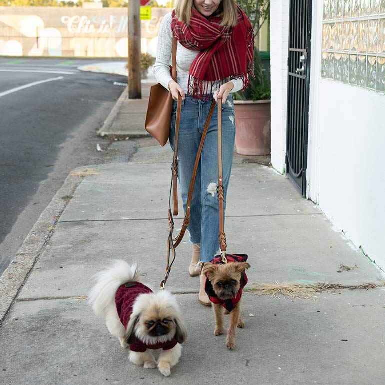 The Best Dog Winter Clothes, According to Famous Instagram Dogs BeChewy