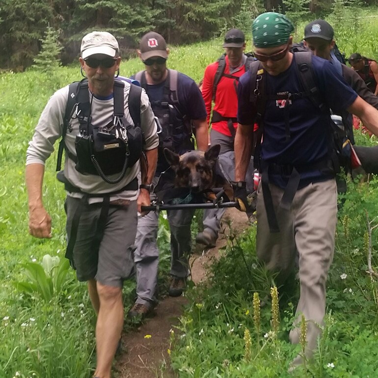 Summit County Rescue Group Saves Dog