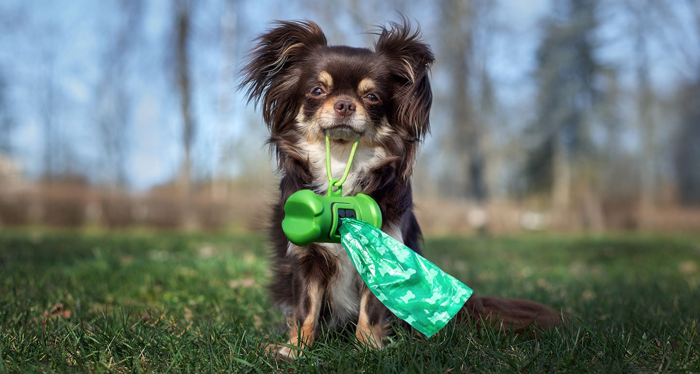 Dog Poop Bags