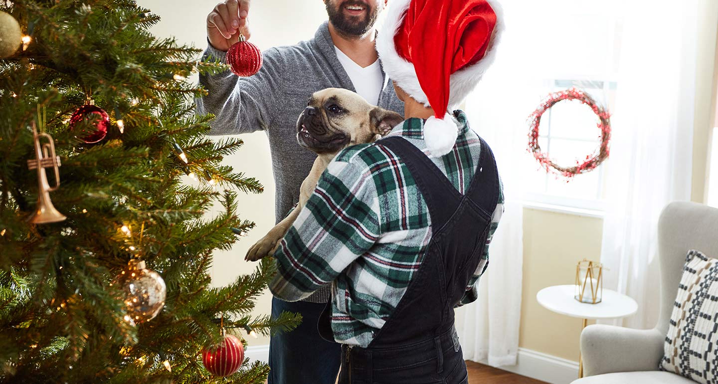 dog friendly Christmas tree