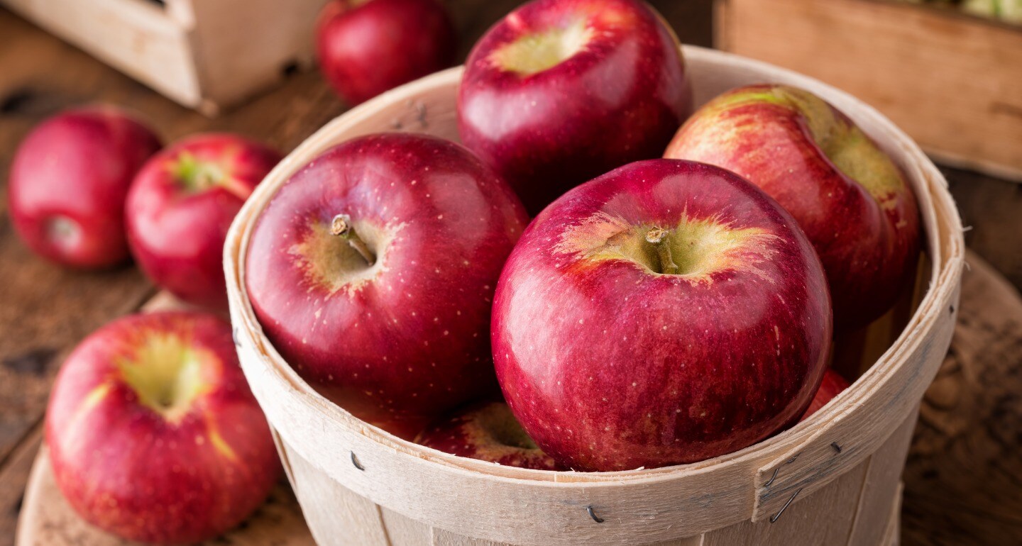 Full width image