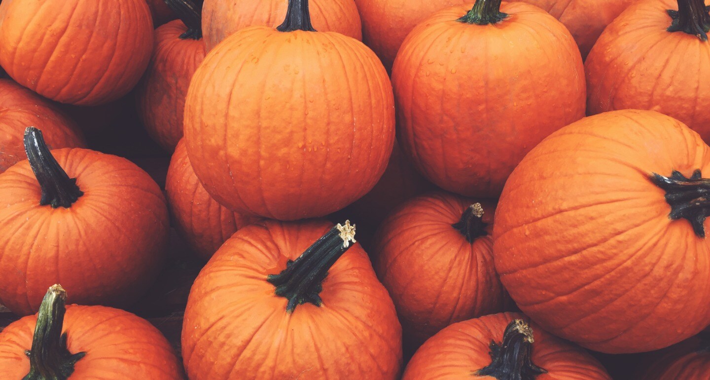 Full width image
