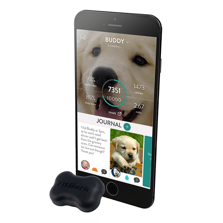 Best dog hotsell gadgets 2019