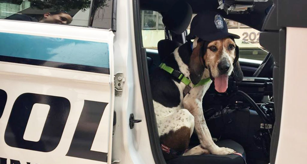 Pet Bucket List - ride in police cruiser