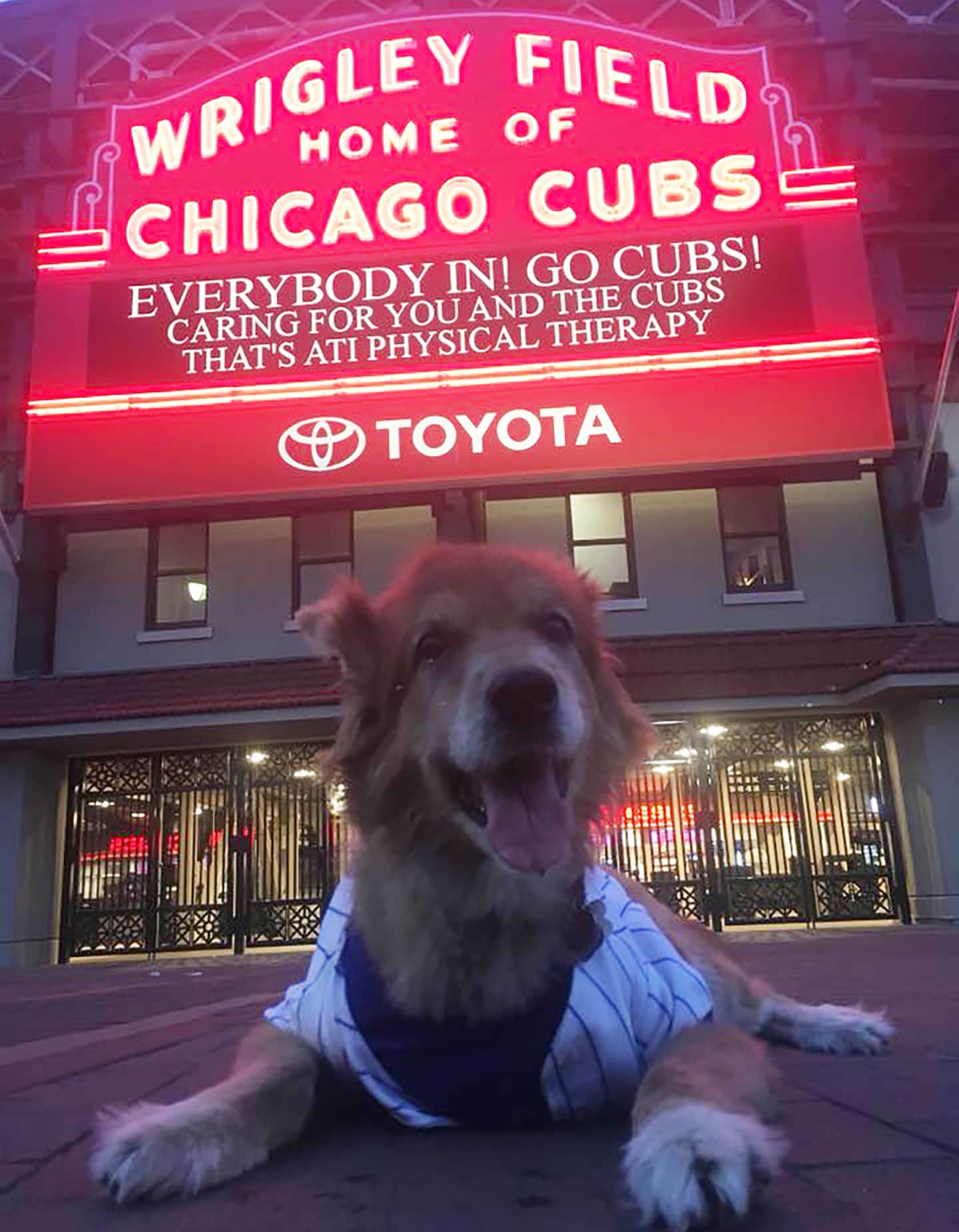 pet bucket list