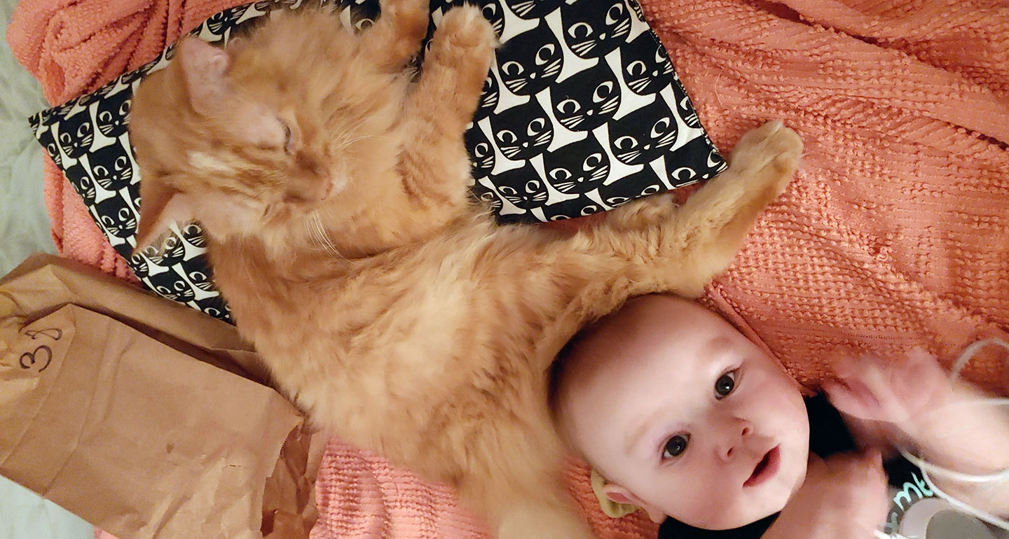 what makes a family - cat and baby