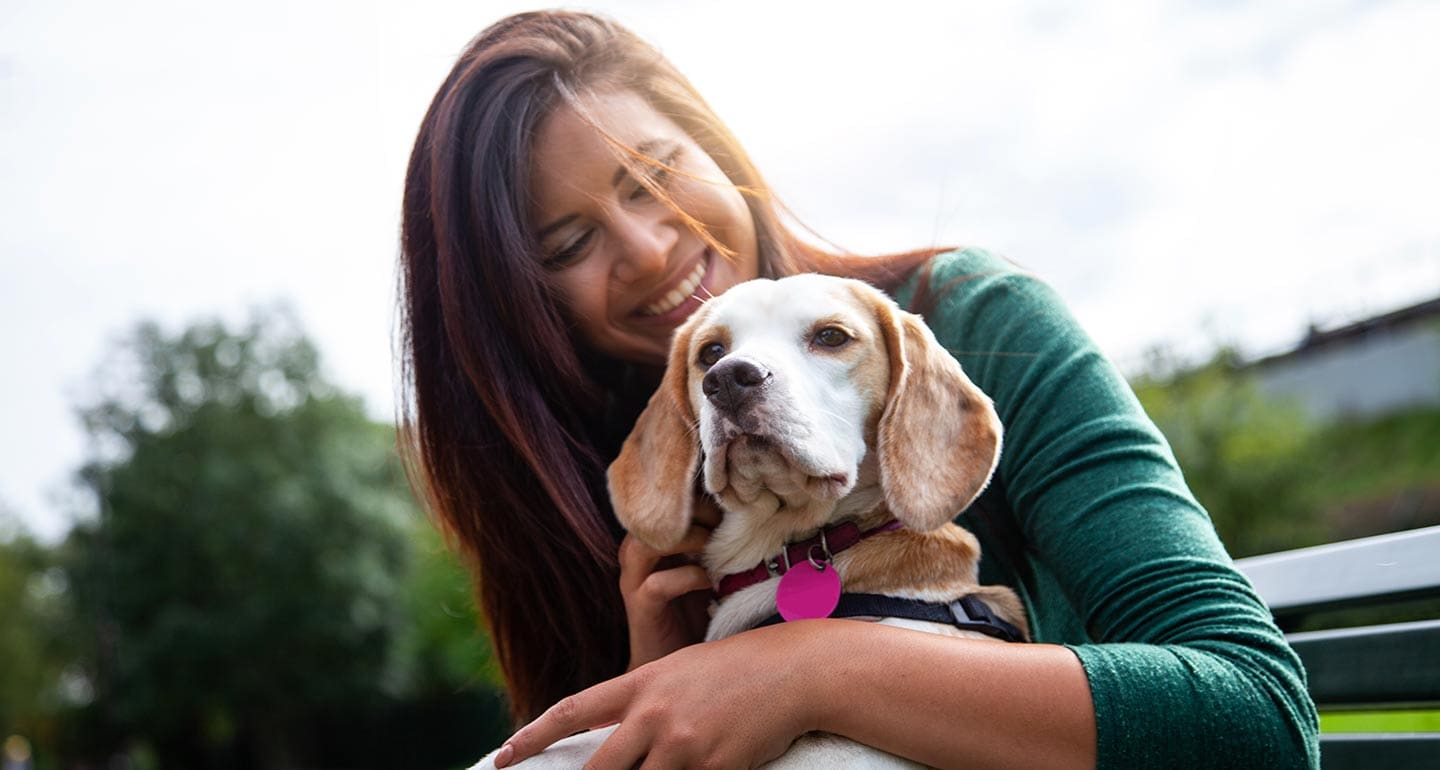benefits of adopting a senior dog