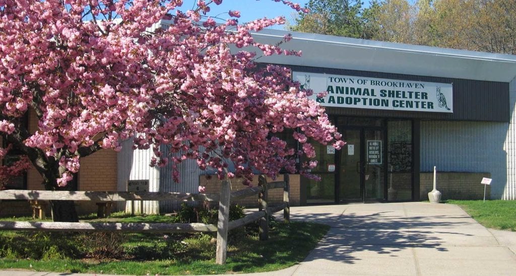 Town of Brookhaven Animal Shelter