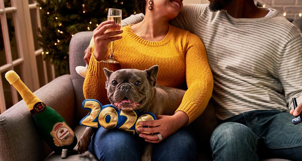 New Year's Eve With Pets