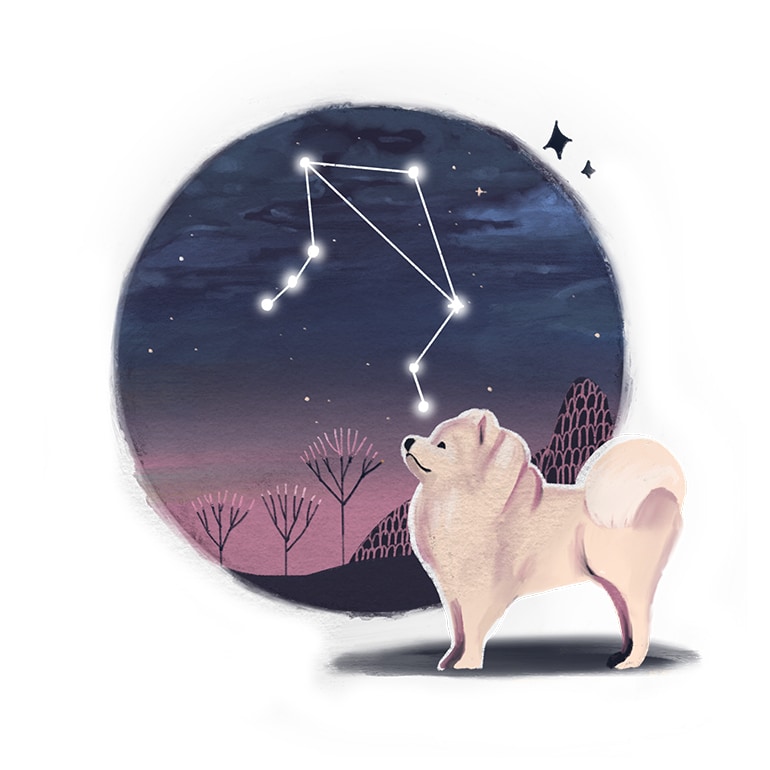 dog zodiac signs - Libra