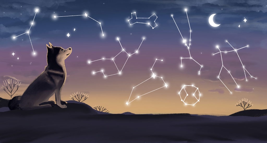What is Pet Astrology?